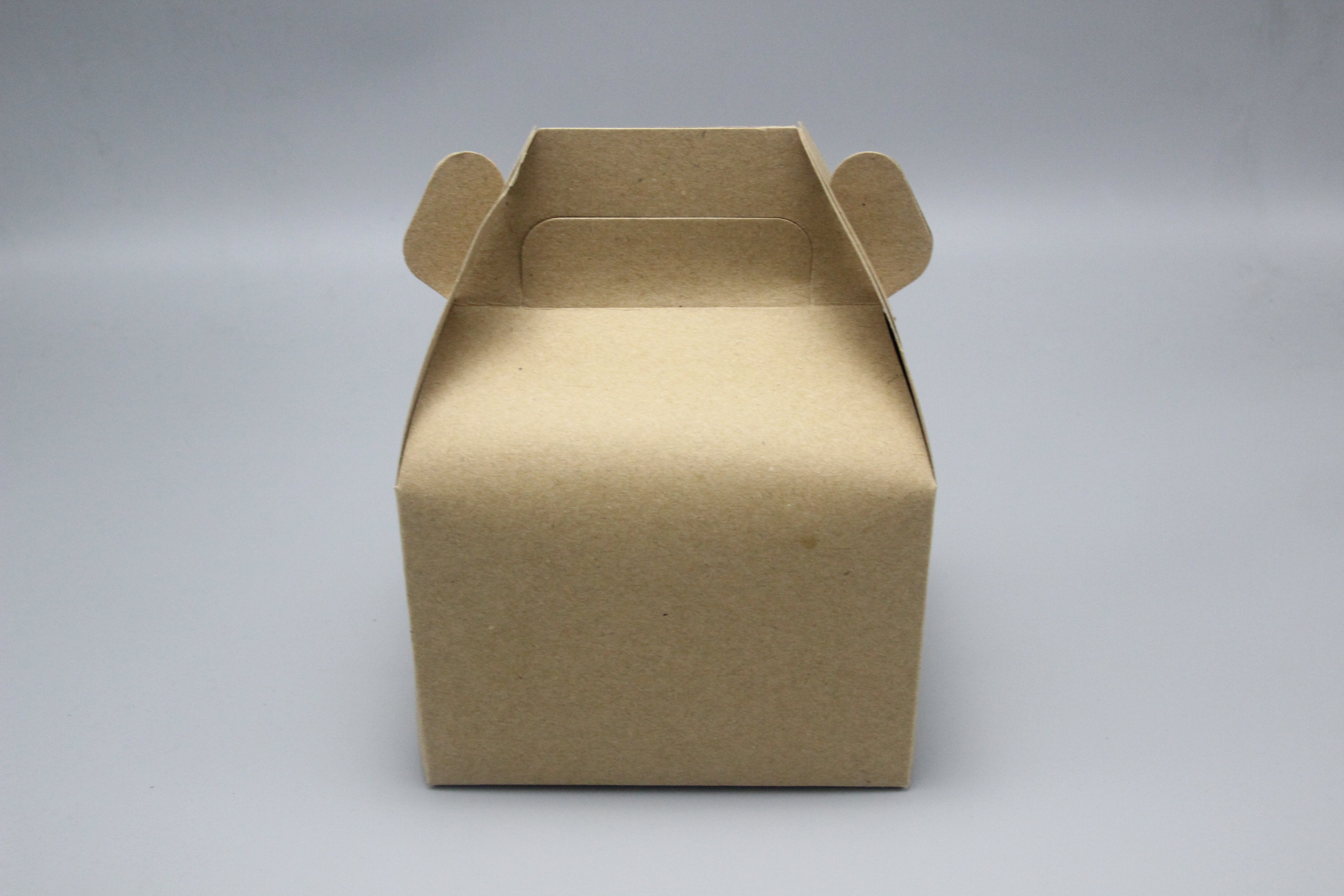 Square Flat Pack Cardboard Cake Box & Lid 30cm | Lakeland